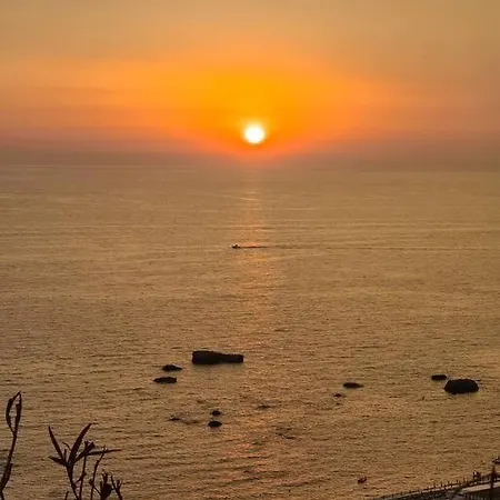 Citara Διαμέρισμα