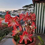 Appartamento Citara Forio di Ischia