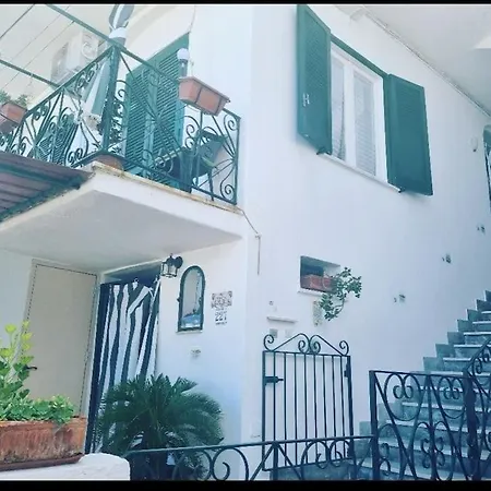 Citara Forio di Ischia