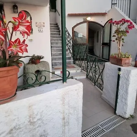 Citara