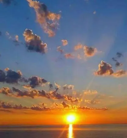 Citara * ايسكيا