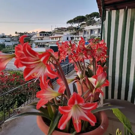 شقة Citara ايسكيا