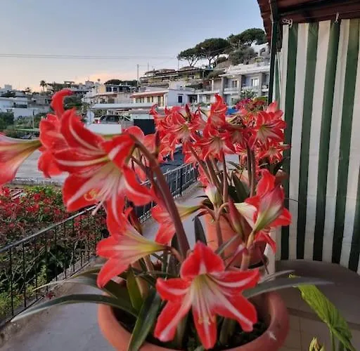 Apartamento Citara Isquia